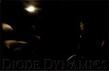 Diode Dynamics 39mm SMF2 LED Bulb - Red (Single) thumbnail 7