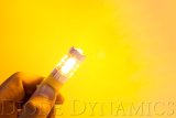 Diode Dynamics 3157 LED Bulb HP24 Dual-Color LED - Cool - White Set of 4 thumbnail 5