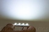 Diode Dynamics 28mm SMF2 LED Bulb - Green (Single) thumbnail 5