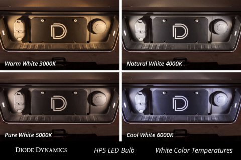 Diode Dynamics 194 LED Bulb HP5 LED Warm - White (Pair) thumbnail 4