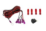 Diode Dynamics Add-on LED Switch Kit - Blue thumbnail 2