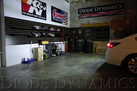 Diode Dynamics 15-19 Subaru Legacy Tail as Turn +Backup Module (USDM) Module Only thumbnail 4