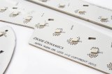 Diode Dynamics 2014-2016 GMC Sierra RGBW DRL LED Boards thumbnail 1