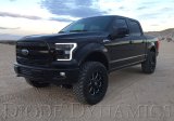 Diode Dynamics 15-17 Ford F-150/17-19 Ford Raptor Switchback LED Boards thumbnail 3