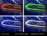 Diode Dynamics RGBW DRL LED Boards for 2019-2021 Dodge Charger thumbnail 4