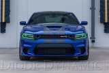Diode Dynamics RGBW DRL LED Boards for 2019-2021 Dodge Charger thumbnail 5