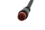 Diode Dynamics RGBW 500cm Strip SMD120 M8 Multicolor thumbnail 5