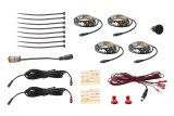 Diode Dynamics RGBW Footwell Strip Kit 4pc Multicolor thumbnail 1
