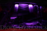 Diode Dynamics RGBW Engine Bay Strip Kit 2pc Multicolor thumbnail 4