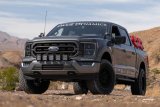 Diode Dynamics 21-23 Ford F-150 Elite Fog Lamps - White thumbnail 5