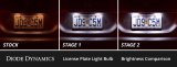Diode Dynamics 16-23 Nissan Maxima Interior LED Kit Cool White Stage 1 thumbnail 6