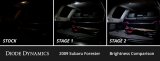 Diode Dynamics 09-13 Subaru ester Interior LED Kit Cool White Stage 1 thumbnail 7