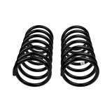 ARB / OME Coil Spring Rear Terracanr thumbnail 2