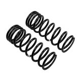 ARB / OME Coil Spring Rear Land Rover thumbnail 3