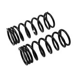 ARB / OME Coil Spring Rear Land Rover thumbnail 4