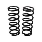 ARB / OME Coil Spring Rear Land Rover Vhd thumbnail 3