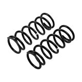 ARB / OME Coil Spring Rear Land Rover thumbnail 5