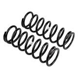 ARB / OME Coil Spring Rear Land Rover Med thumbnail 4