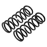 ARB / OME Coil Spring Front Land Rover Isuz thumbnail 1