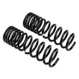 ARB / OME Coil Spring Rear Isuzu Hd- thumbnail 5