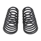 ARB OME 2024+ Toyota Tacoma Coil Spring - Rear 440lbs thumbnail 2