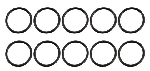 Fragola O-Ring For 1-5/16 I.D. (-16AN) 10 Pcs. thumbnail 1