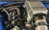 Fragola -20AN Race-Rite Pro Hose - 3ft thumbnail 3