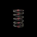 Brian Crower Honda H22/Nissan SR20VE Dual Valve Spring - Single thumbnail 1