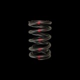 Brian Crower Honda H22/Nissan SR20VE Dual Valve Spring - Single thumbnail 2