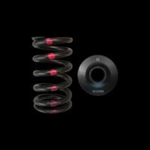 Brian Crower Nissan SR20DE/DET Single Spring & Steel Retainer Kit thumbnail 1