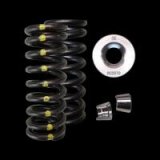 Brian Crower Honda L15B Single Spring/Titanium Retainer/Keeper Kit thumbnail 1