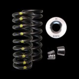 Brian Crower Honda L15B Single Spring/Titanium Retainer/Keeper Kit thumbnail 2