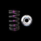 Brian Crower Nissan QR25DE Single Spring & Titanium Retainer Kit thumbnail 3
