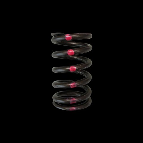 Brian Crower Nissan SR20DE Single Valve Springs (Single Spring - Price is each)