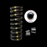 Brian Crower Honda R18 Single Spring/Titanium Retainer/Keeper Kit thumbnail 3
