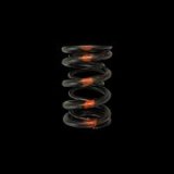 Brian Crower Honda/Acura B18A/B18B/B20B - Single Valve Spring thumbnail 1