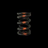 Brian Crower Honda/Acura B18A/B18B/B20B - Single Valve Spring thumbnail 2