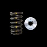 Brian Crower Nissan TB48 Single Spring & Titanium Retainer Kit thumbnail 3