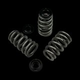 Brian Crower Chevy LS Series Beehive Steel Retainer Kit thumbnail 1