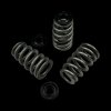 Brian Crower Chevy LS Series Beehive Steel Retainer Kit thumbnail 2
