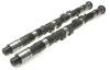 Brian Crower Honda/Acura B18A/B18B/B20B Camshafts - Stage 3 Normally Aspirated thumbnail 3