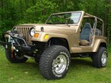 N-Fab Nerf Step 97-06 Jeep Wrangler TJ/BJ 2 Door All - Gloss Black - W2W - SRW - 3in thumbnail 1