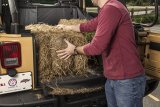 Rugged Ridge C3 Cargo Cover W/O Subwoofer 07-18 Jeep Wrangler JKU 4 Door thumbnail 9