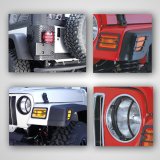 Rugged Ridge Euro Guard Light Kit 97-06 Jeep Wrangler TJ thumbnail 2