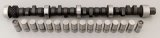 Edelbrock Perf RPM Cam and Lifters Kit Pontiac 350-455 thumbnail 3