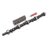 Edelbrock Perf Plus Cam and Lifters Kit AMC 290-401 thumbnail 5