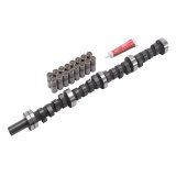 Edelbrock Perf Plus Cam and Lifters Kit AMC 290-401 thumbnail 6