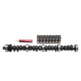 Edelbrock Perf Plus Cam and Lifters Kit Ford 351W thumbnail 4