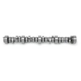 Edelbrock Rollin Thunder Camshaft Performer RPM Chevy LS1 Hydraulic Roller for EFI Applications thumbnail 1