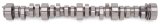 Edelbrock Rollin Thunder Camshaft Performer RPM Chevy LS1 Hydraulic Roller for EFI Applications thumbnail 4
